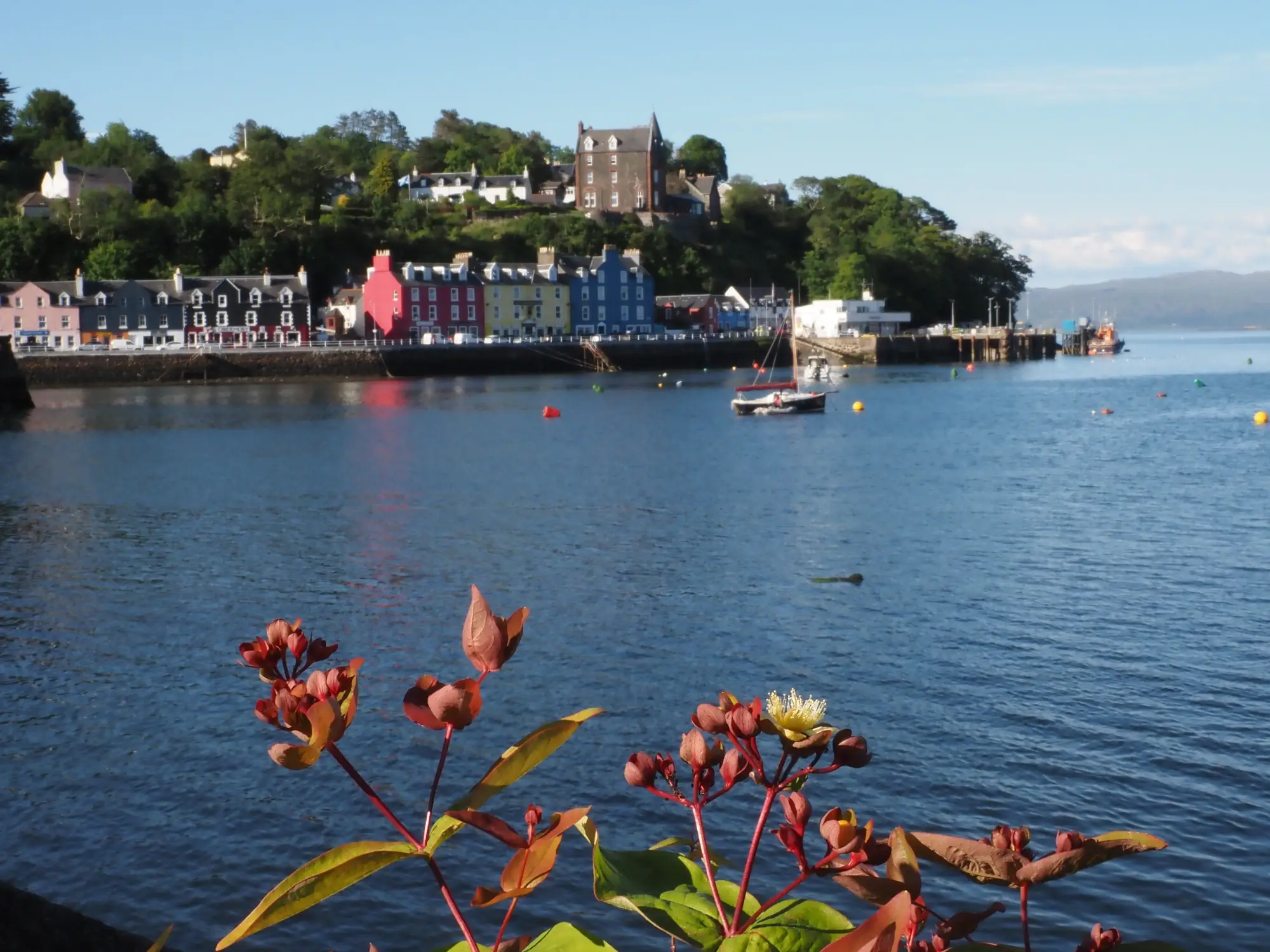 Bunte Häuser am Wasser mit einem Boot, Pflanzen im Vordergrund und einem Hügel dahinter.